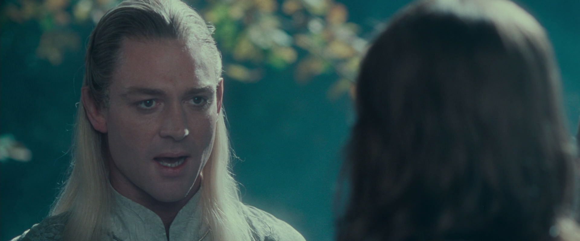 The Lord of the Rings: The Fellowship of the Ring (2001) screencap 19890