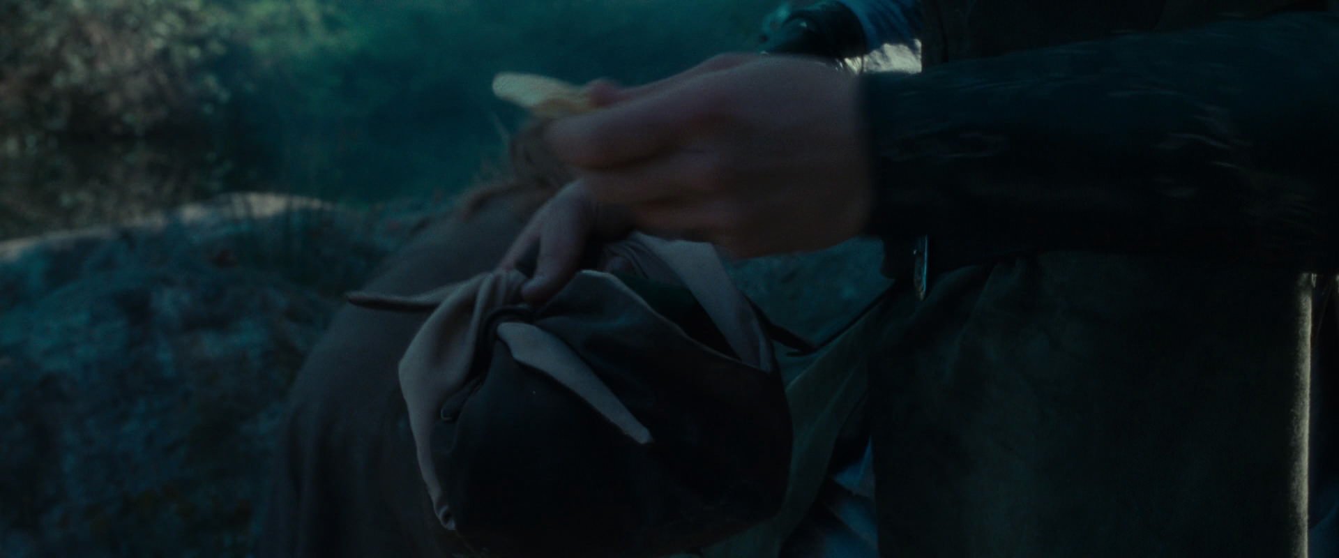 The Lord of the Rings: The Fellowship of the Ring (2001) HD screenshot 19904