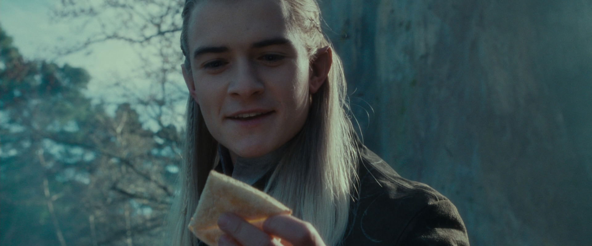 The Lord of the Rings: The Fellowship of the Ring (2001) screencap 19908
