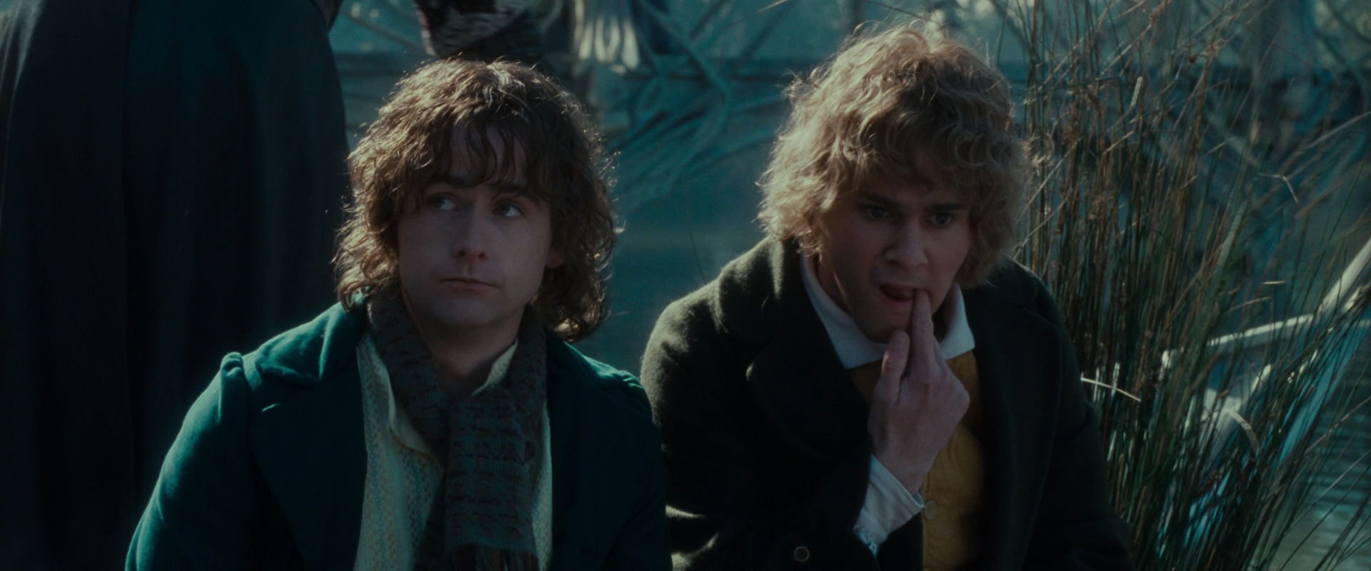 The Lord of the Rings: The Fellowship of the Ring (2001) screencap 19947
