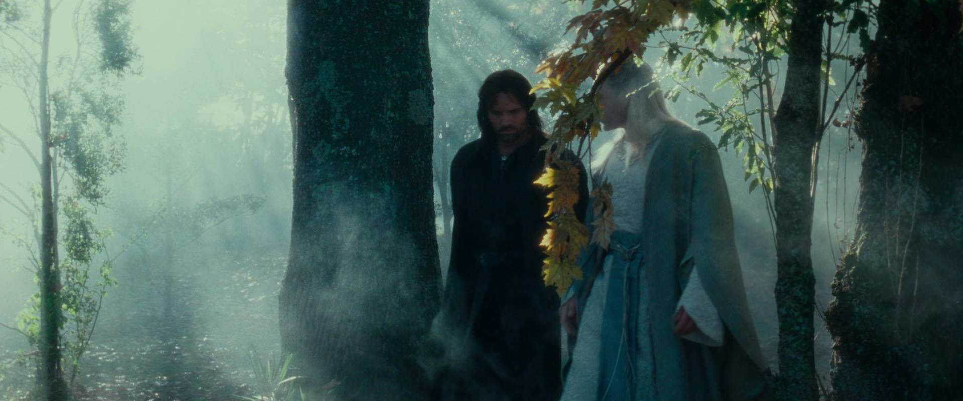 The Lord of the Rings: The Fellowship of the Ring (2001) HD screenshot 19976