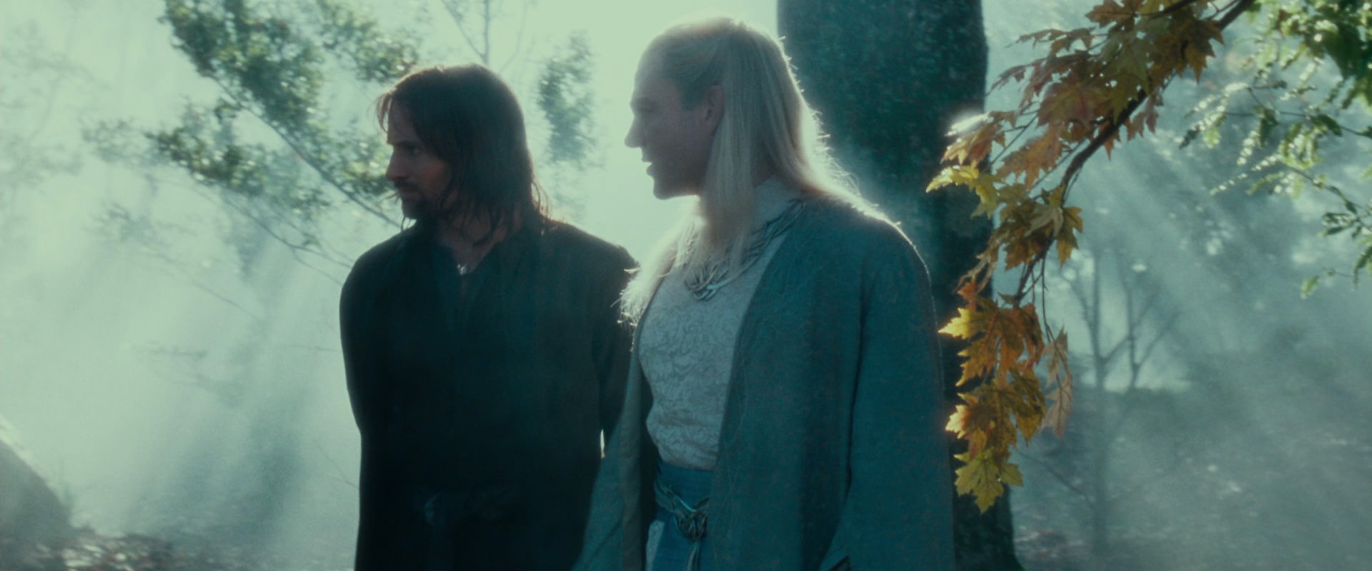 The Lord of the Rings: The Fellowship of the Ring (2001) HD screenshot 19982