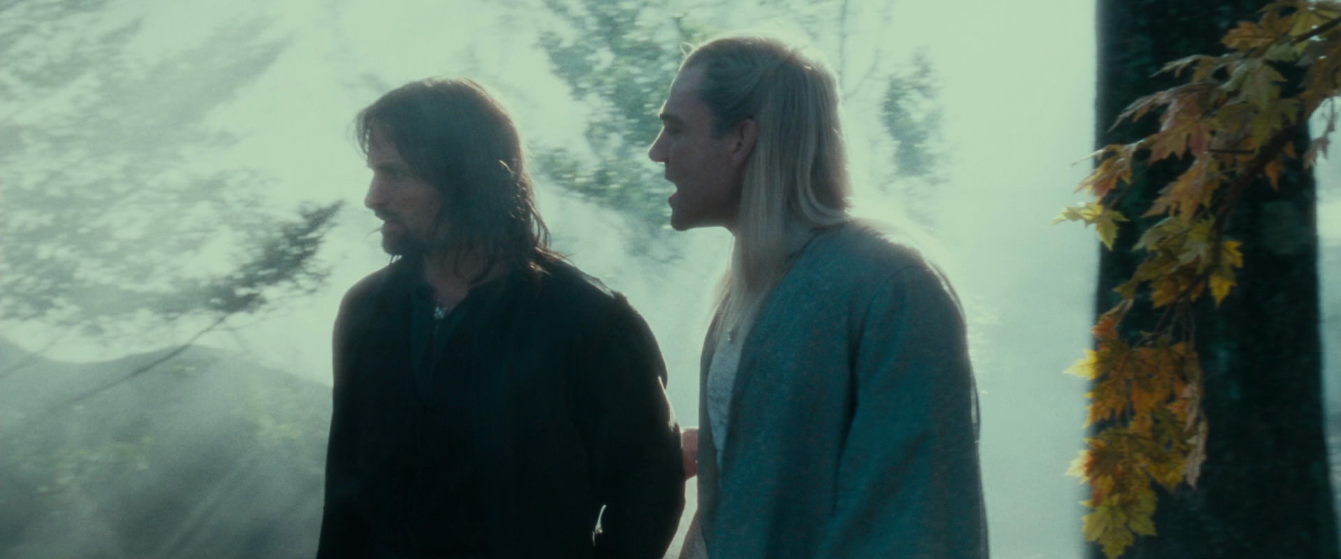 The Lord of the Rings: The Fellowship of the Ring (2001) movie still 19984