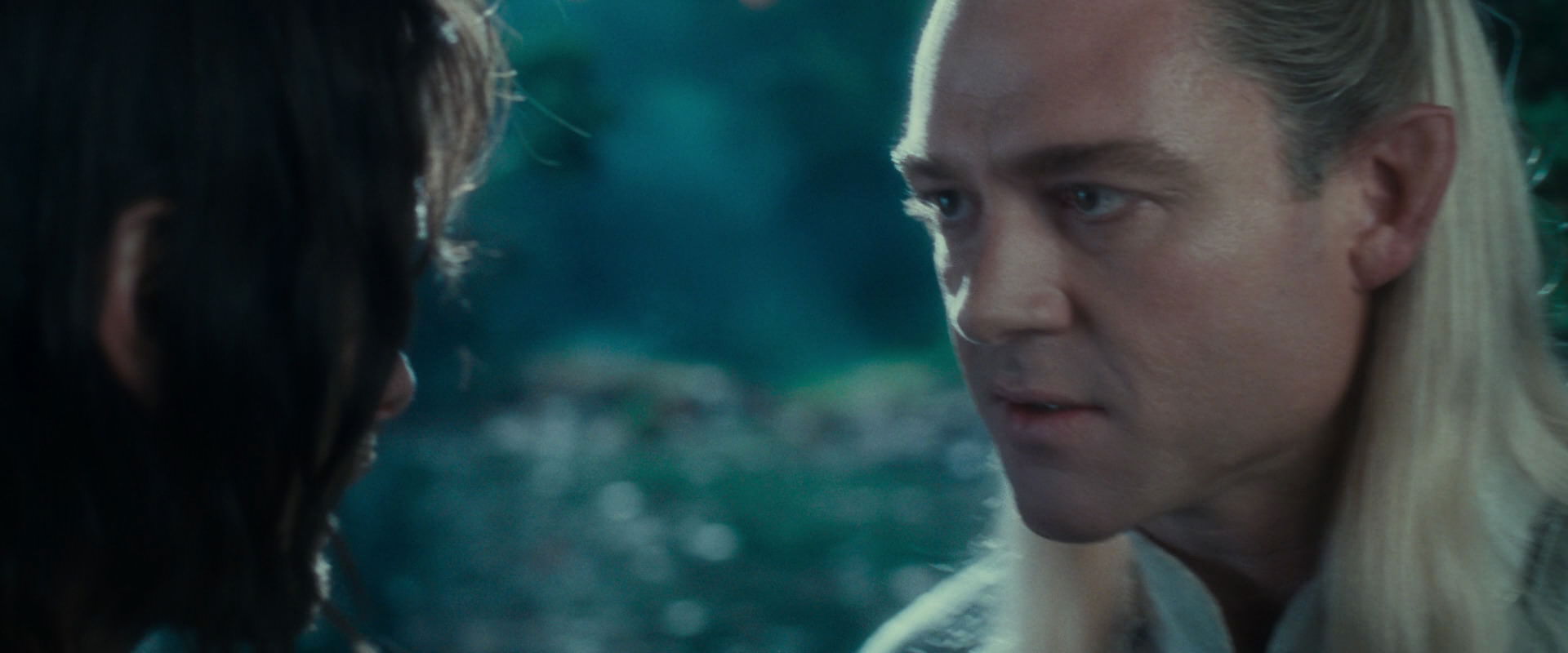 The Lord of the Rings: The Fellowship of the Ring (2001) movie still 19993