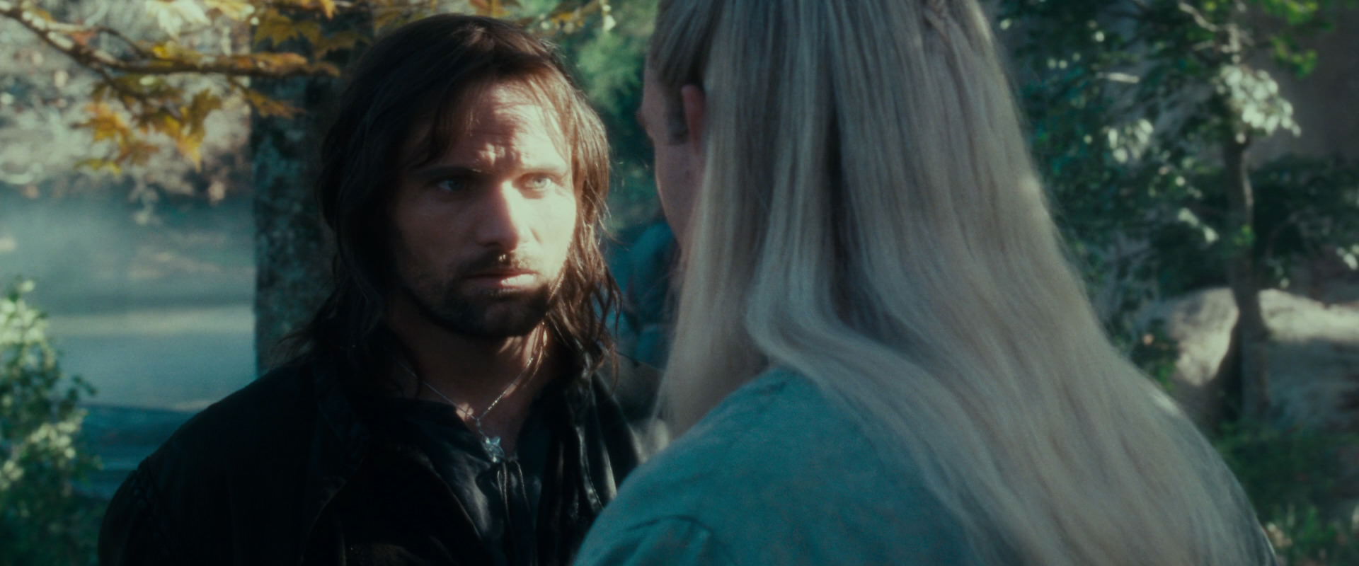 The Lord of the Rings: The Fellowship of the Ring (2001) screencap 19995
