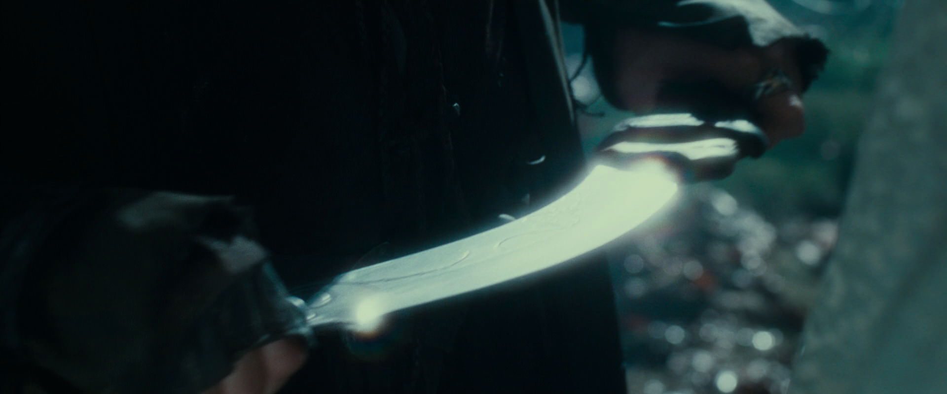 The Lord of the Rings: The Fellowship of the Ring (2001) screencap 20007