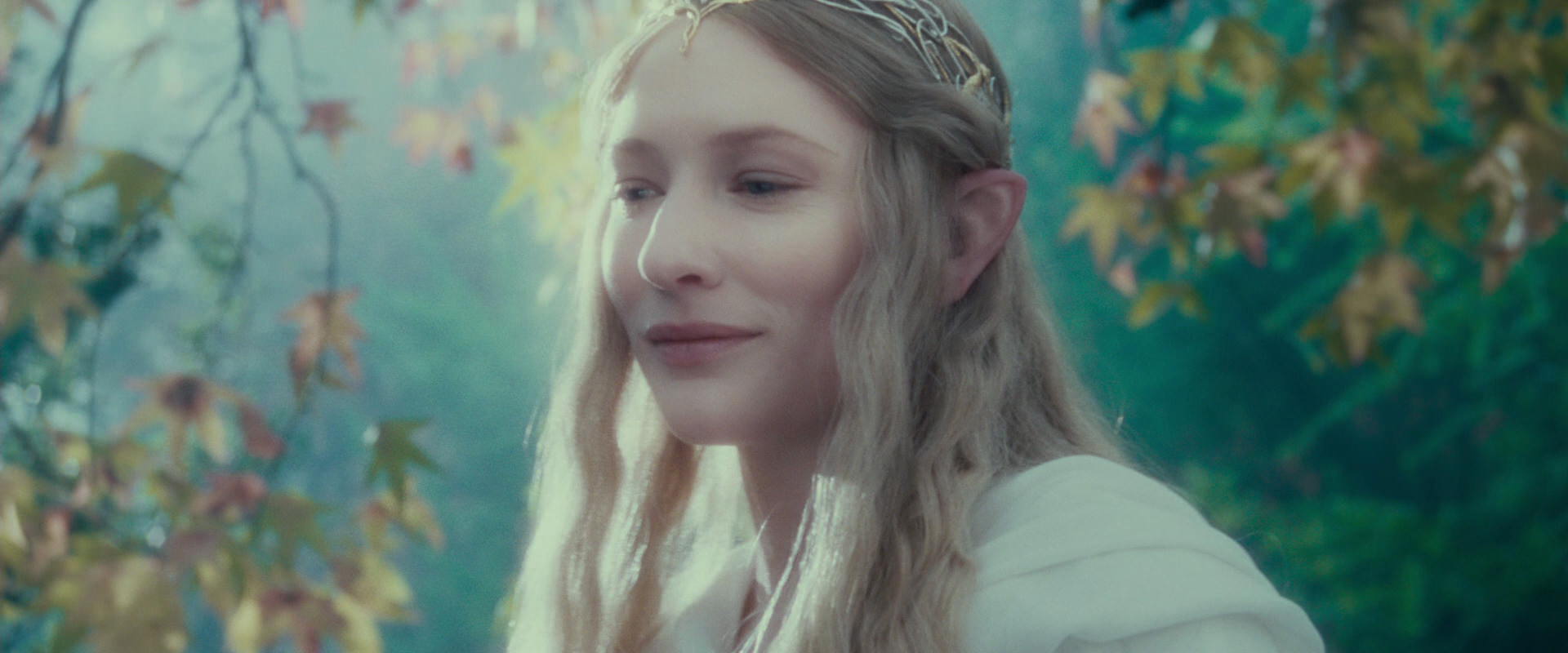 The Lord of the Rings: The Fellowship of the Ring (2001) movie still 20086