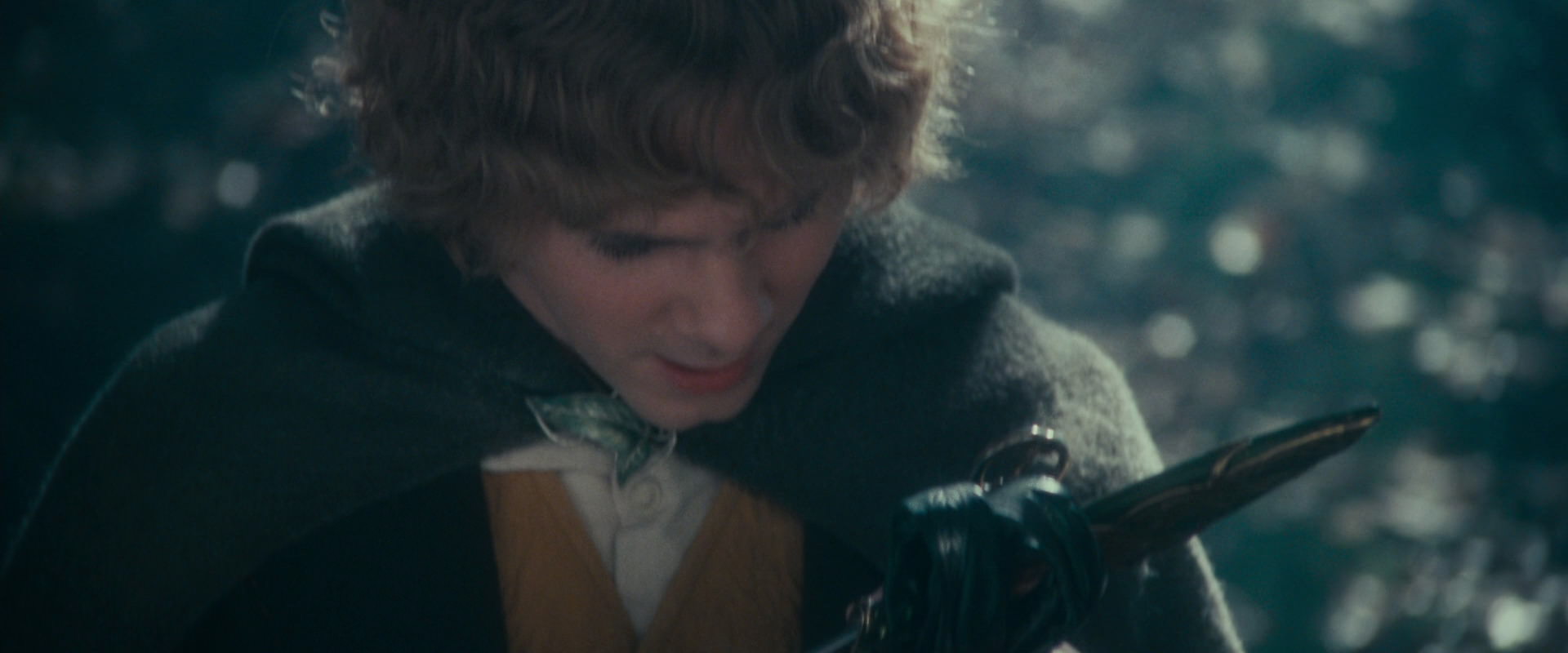 The Lord of the Rings: The Fellowship of the Ring (2001) movie still 20089