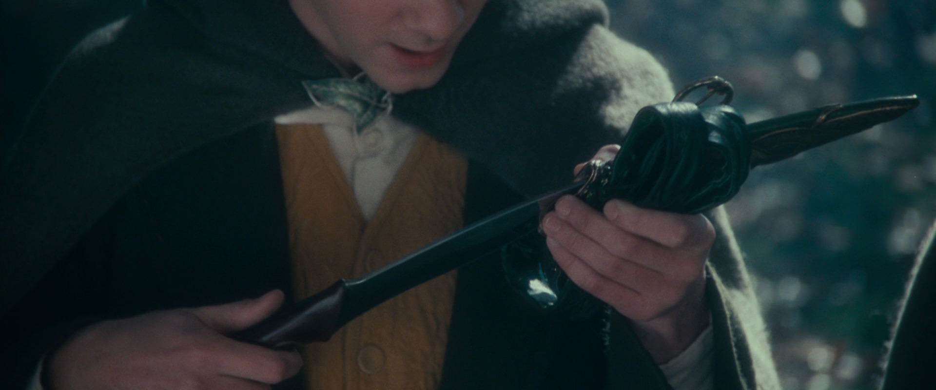 The Lord of the Rings: The Fellowship of the Ring (2001) screencap 20091