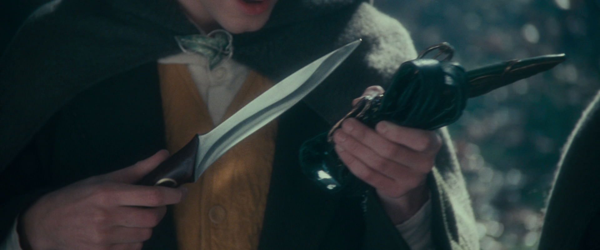 The Lord of the Rings: The Fellowship of the Ring (2001) movie still 20092