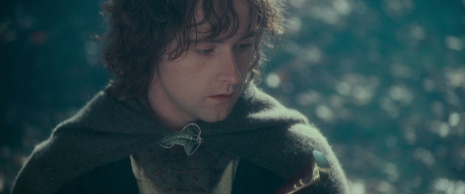 The Lord of the Rings: The Fellowship of the Ring (2001) HD screenshot 20102