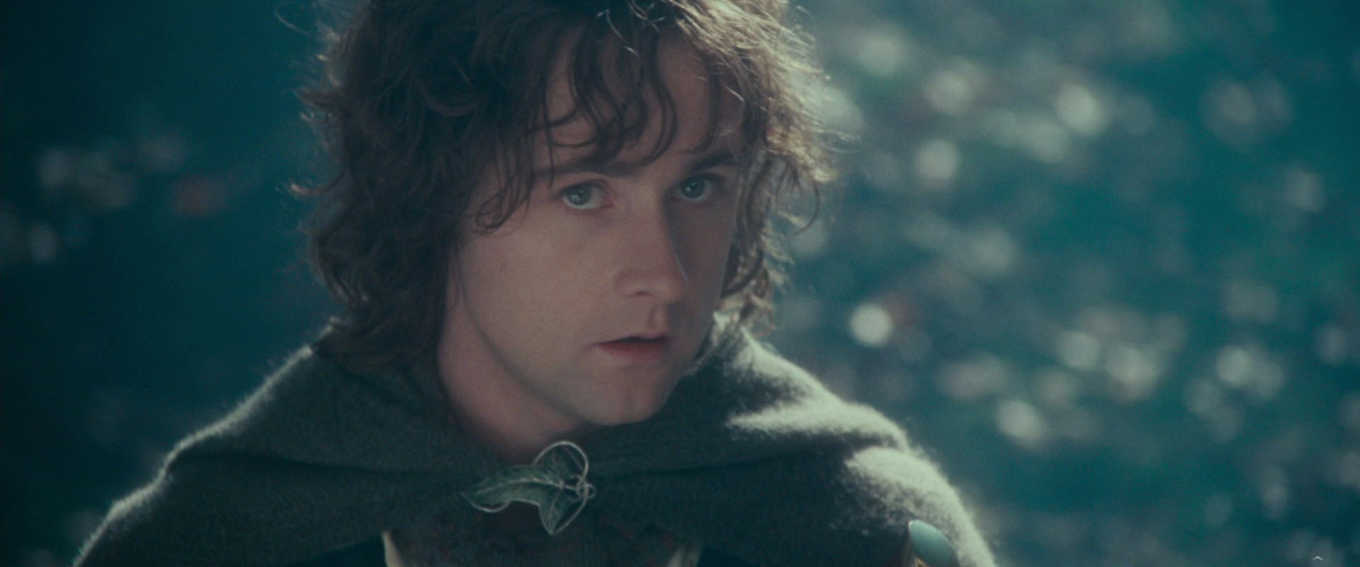 The Lord of the Rings: The Fellowship of the Ring (2001) screencap 20103