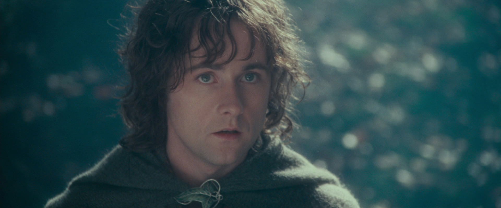 The Lord of the Rings: The Fellowship of the Ring (2001) movie still 20104