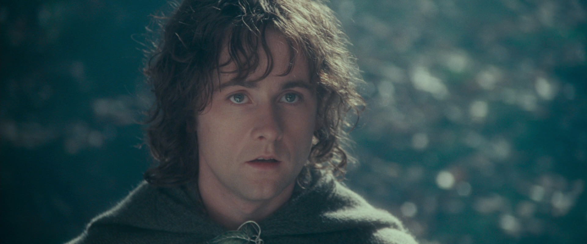 The Lord of the Rings: The Fellowship of the Ring (2001) HD screenshot 20105