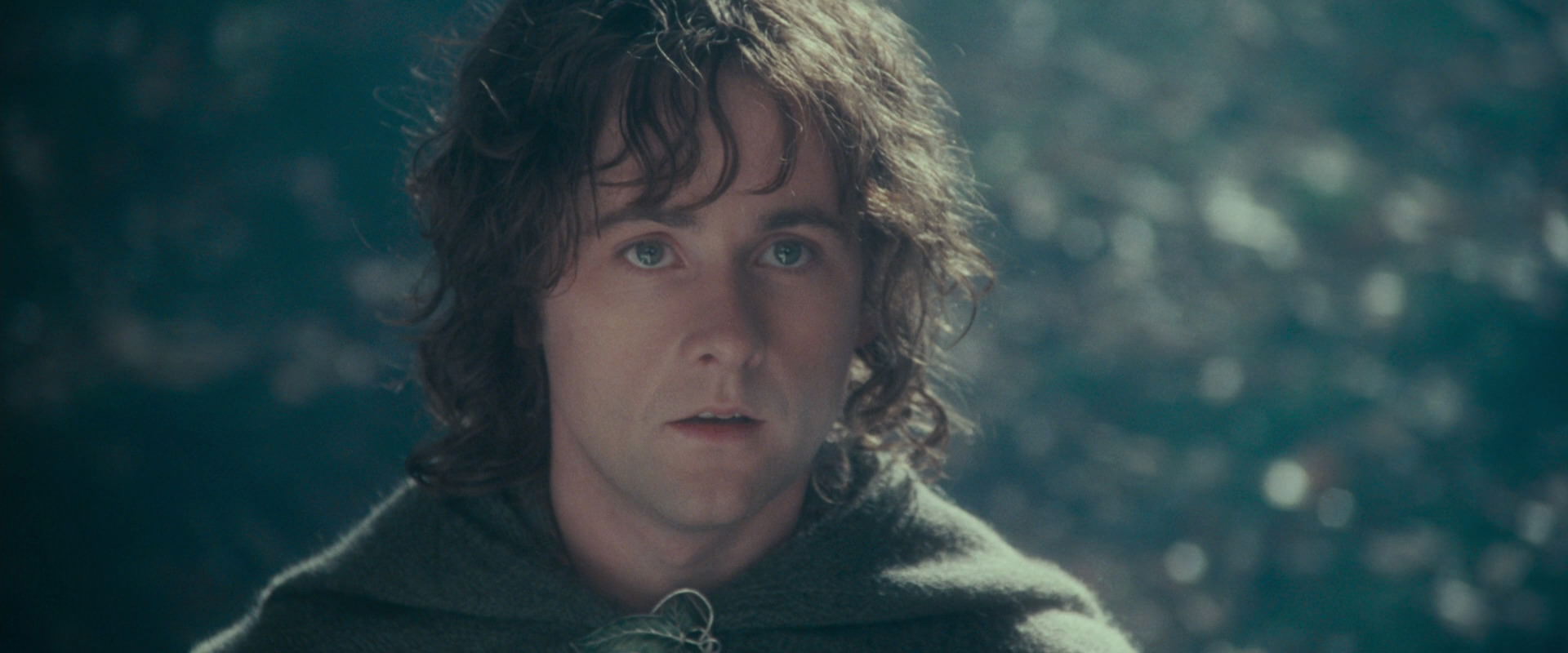 The Lord of the Rings: The Fellowship of the Ring (2001) screencap 20106