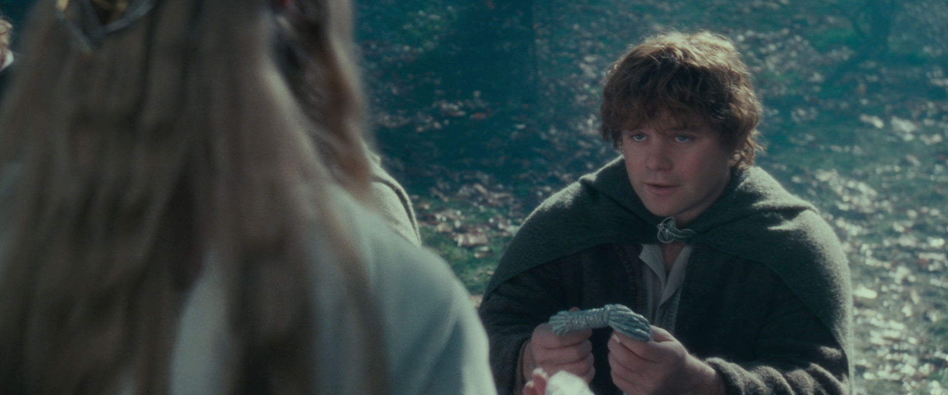 The Lord of the Rings: The Fellowship of the Ring (2001) screencap 20130