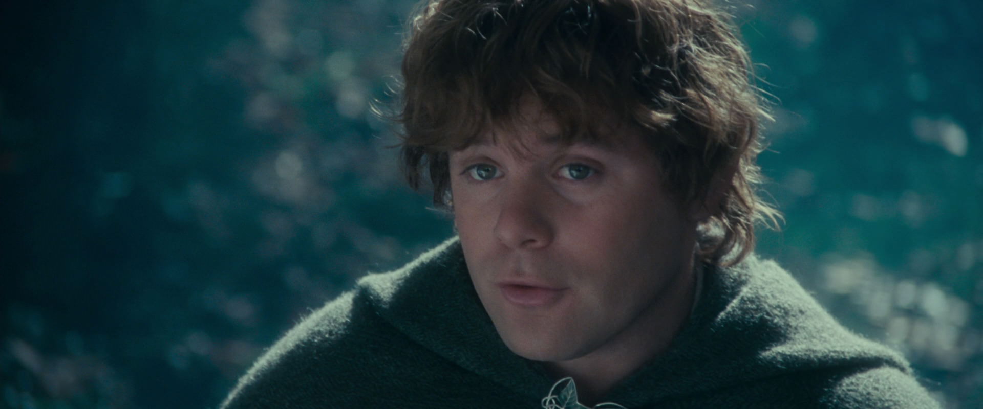 The Lord of the Rings: The Fellowship of the Ring (2001) screencap 20139