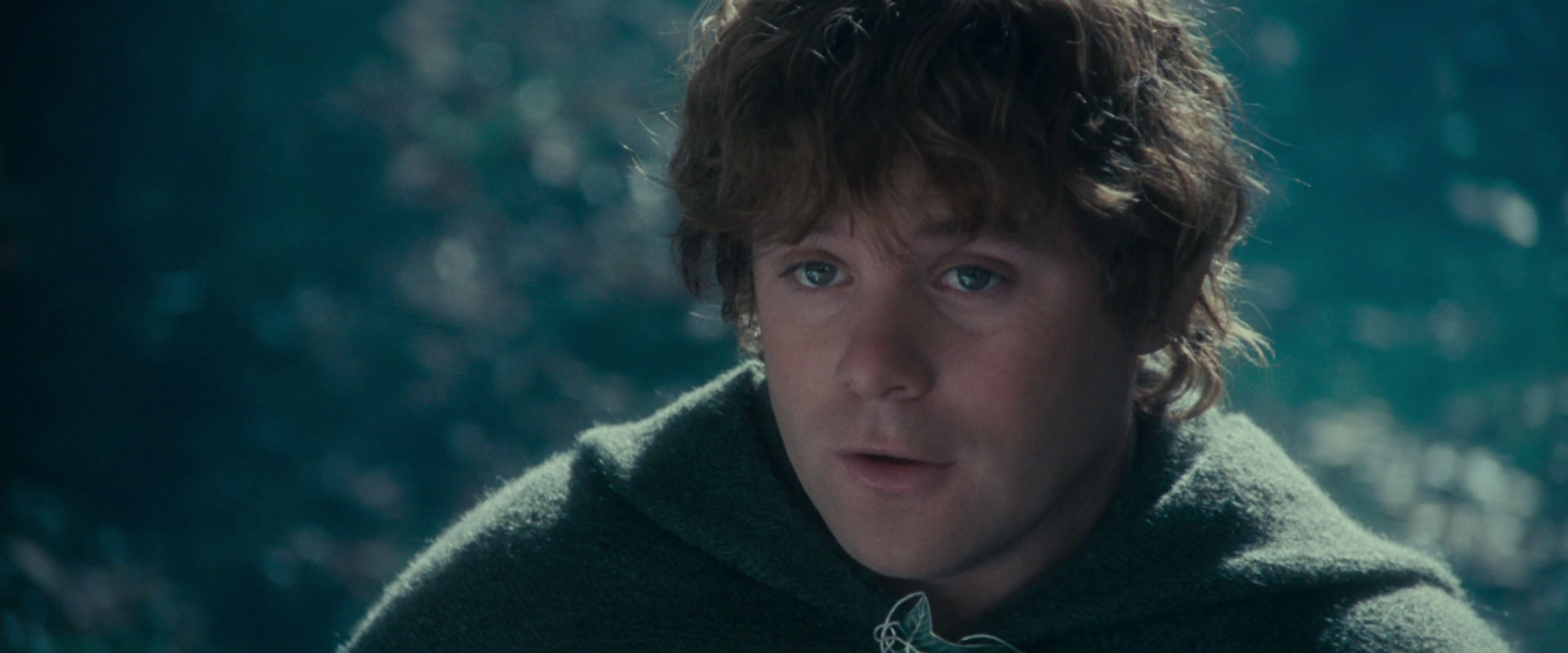 The Lord of the Rings: The Fellowship of the Ring (2001) movie still 20140