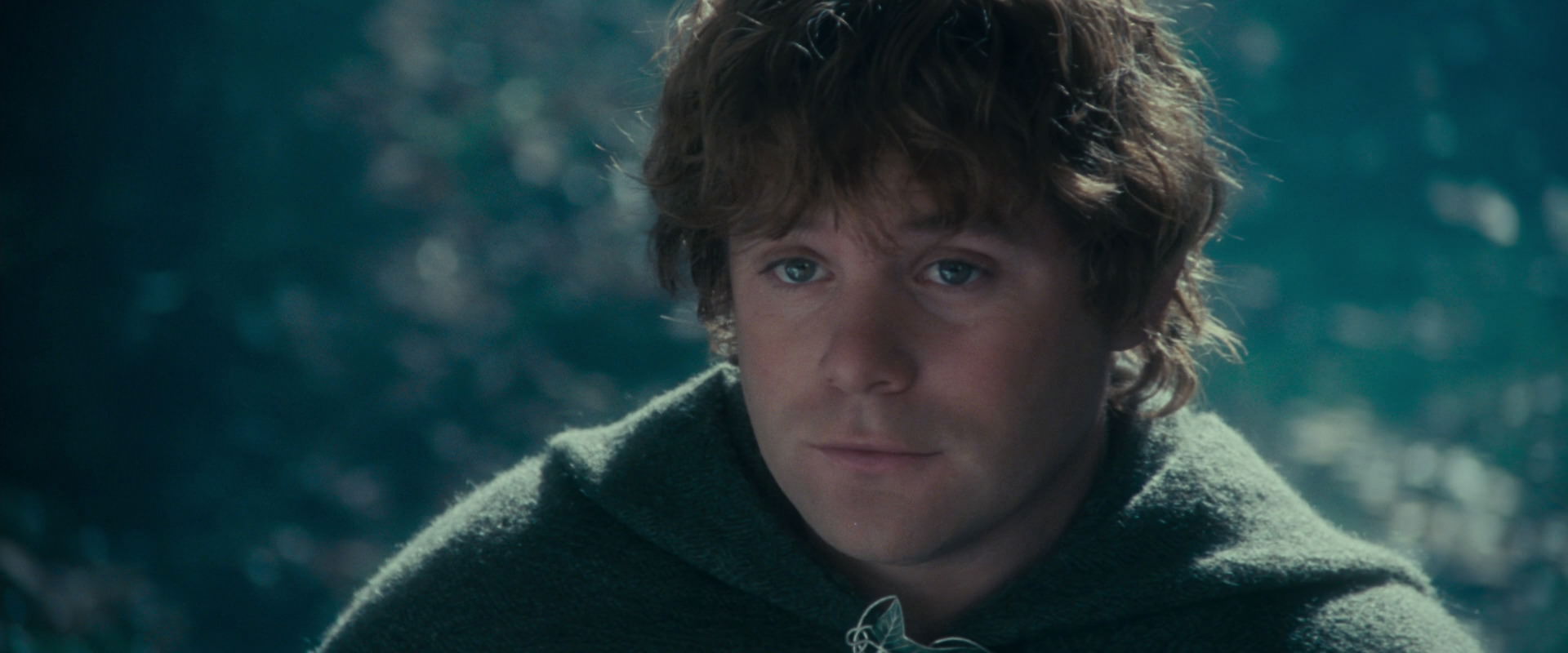 The Lord of the Rings: The Fellowship of the Ring (2001) HD screenshot 20141