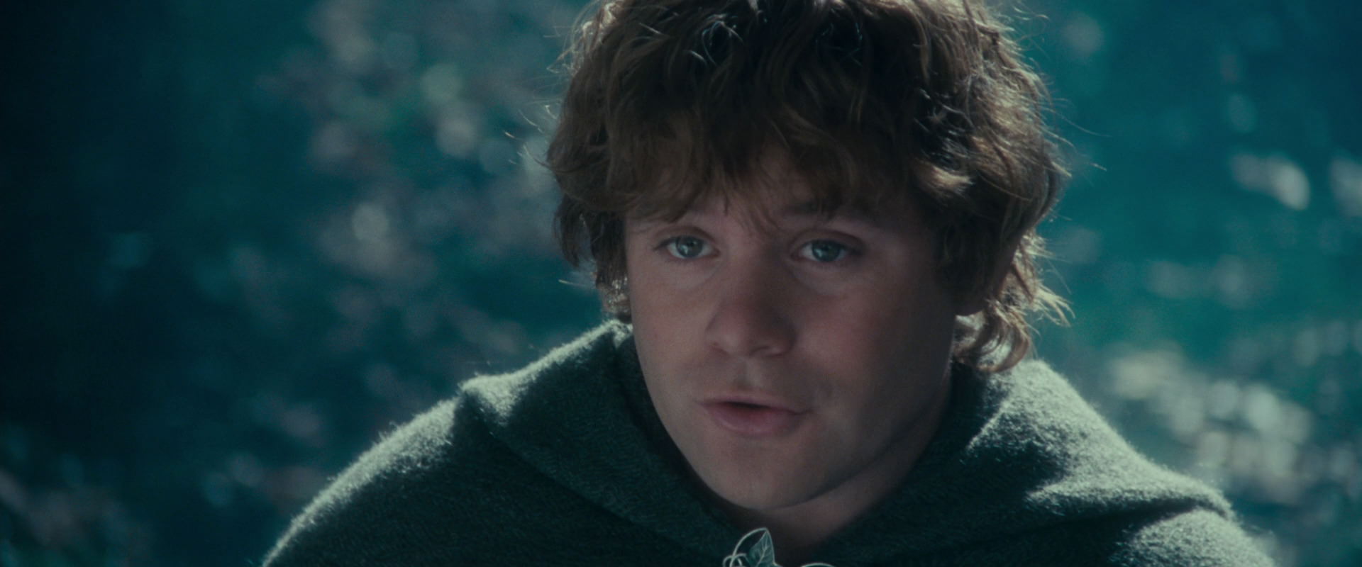 The Lord of the Rings: The Fellowship of the Ring (2001) screencap 20142