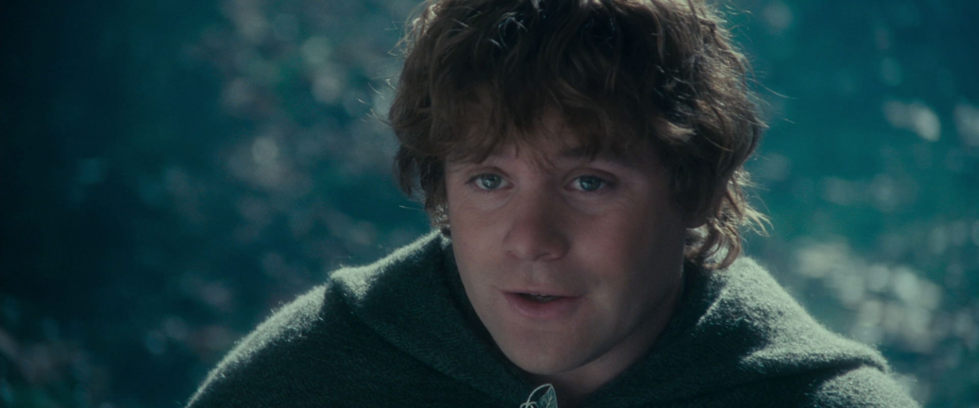 The Lord of the Rings: The Fellowship of the Ring (2001) movie still 20143