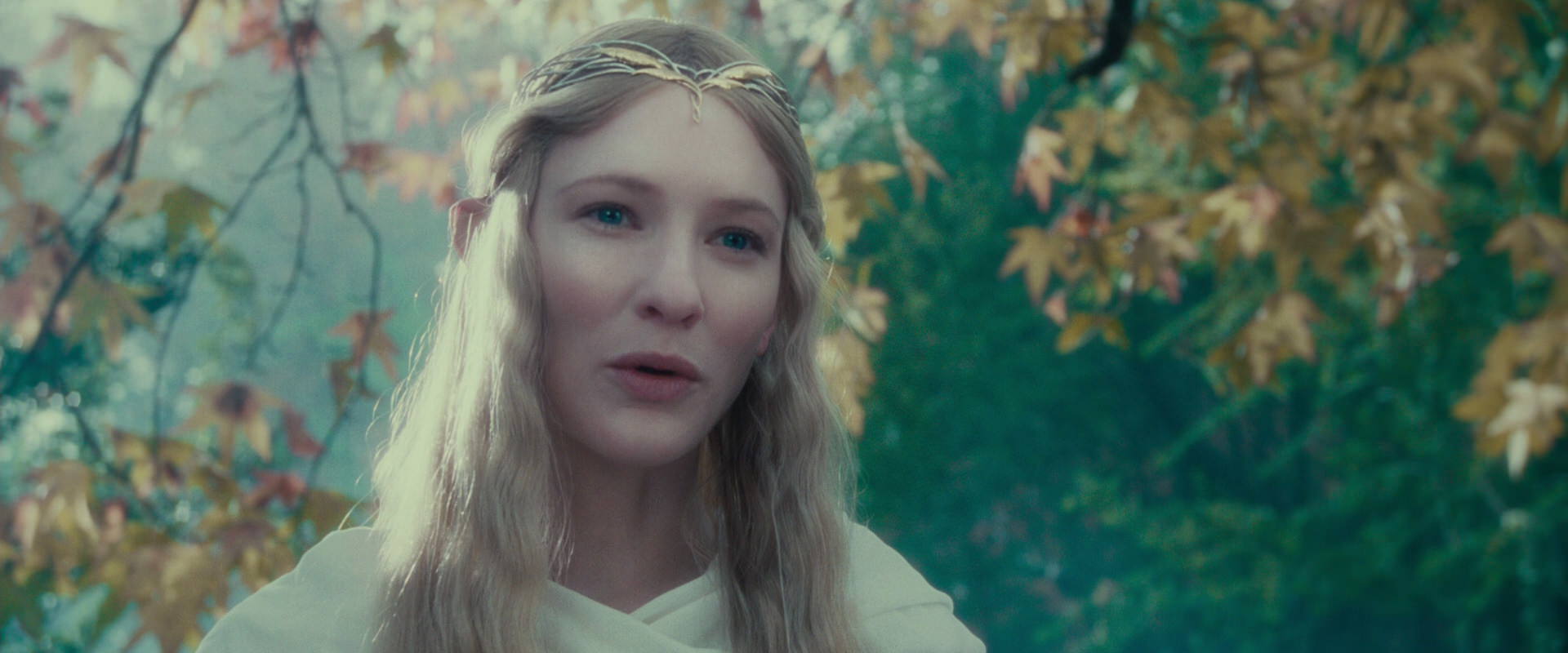 The Lord of the Rings: The Fellowship of the Ring (2001) screencap 20160