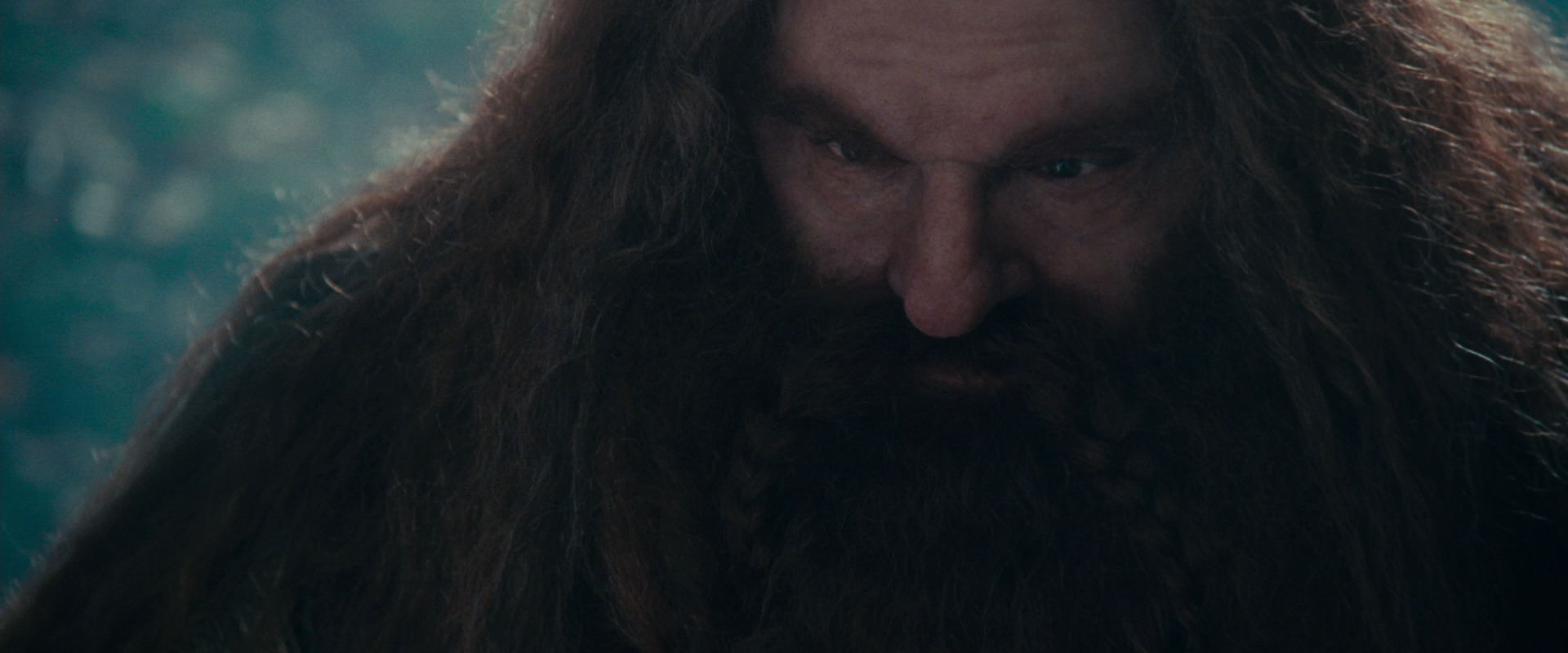 The Lord of the Rings: The Fellowship of the Ring (2001) screencap 20166