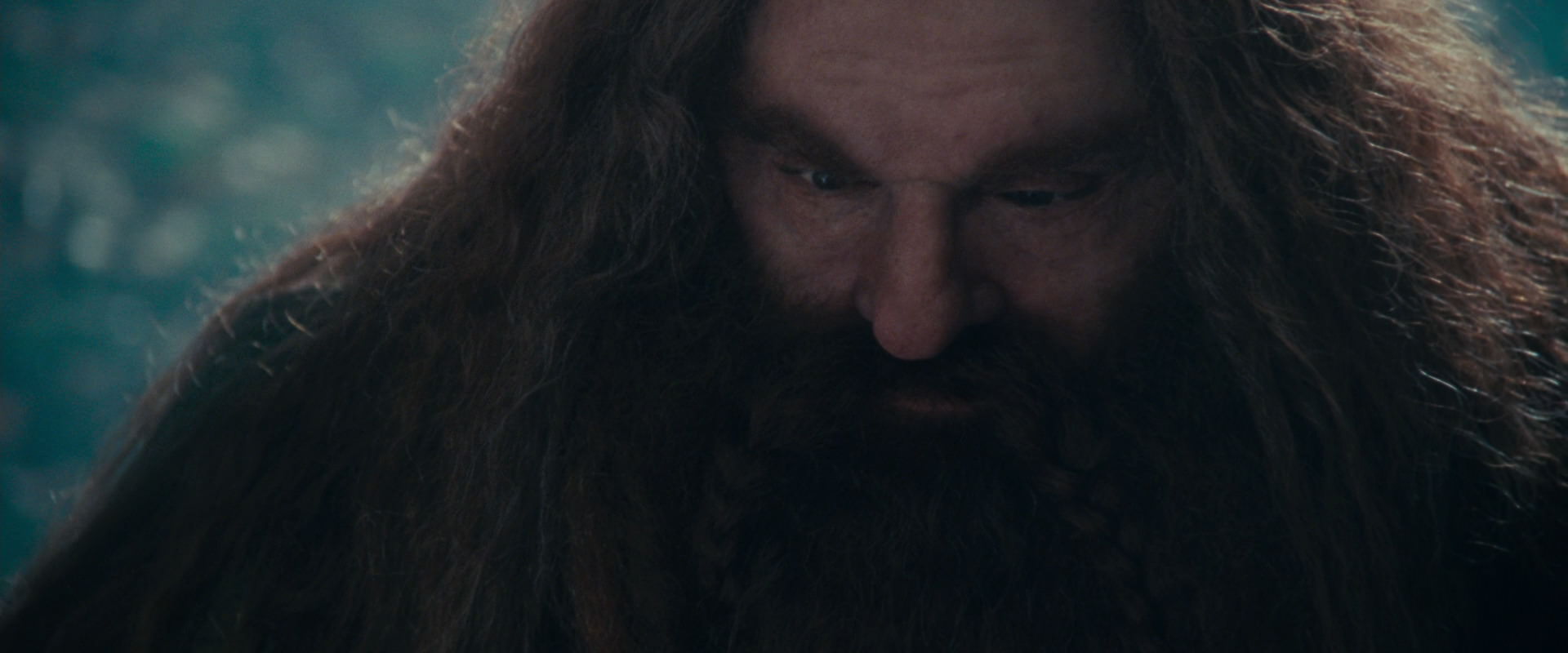 The Lord of the Rings: The Fellowship of the Ring (2001) HD screenshot 20168