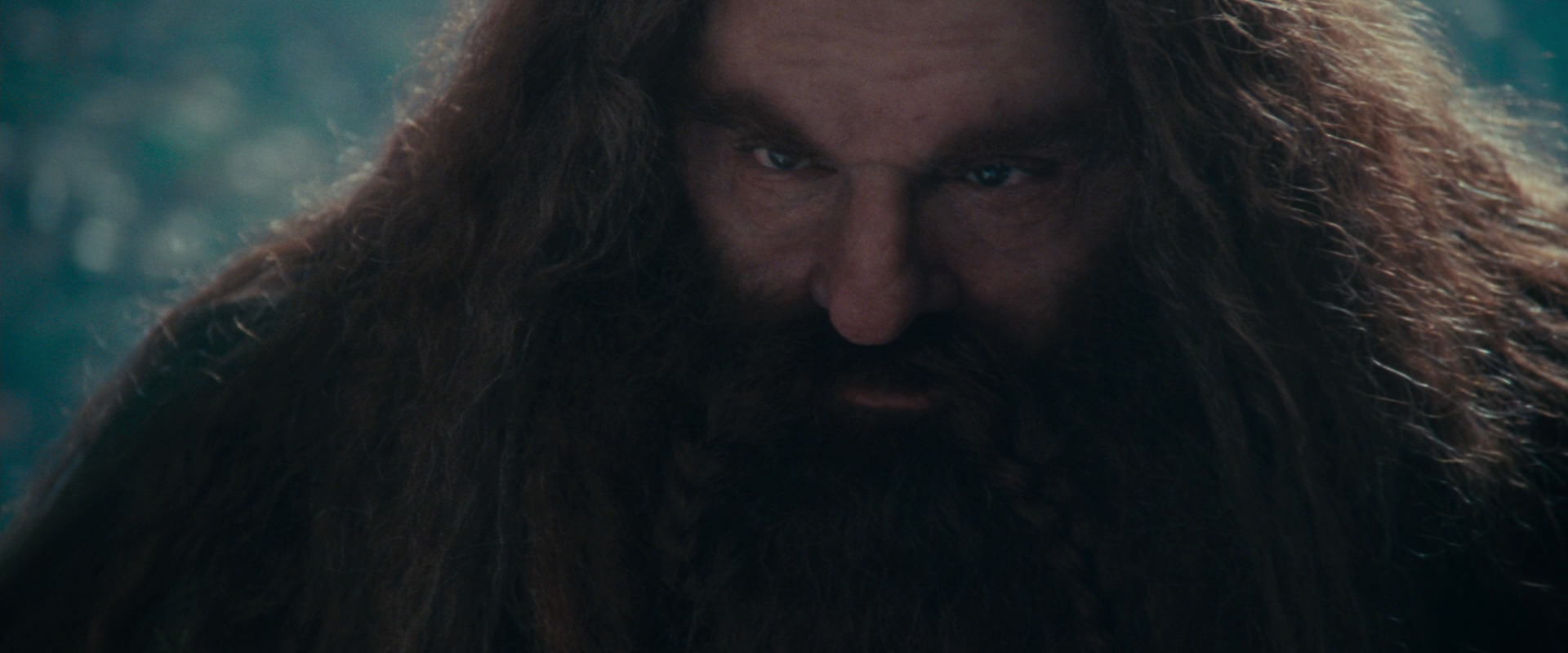 The Lord of the Rings: The Fellowship of the Ring (2001) screencap 20169