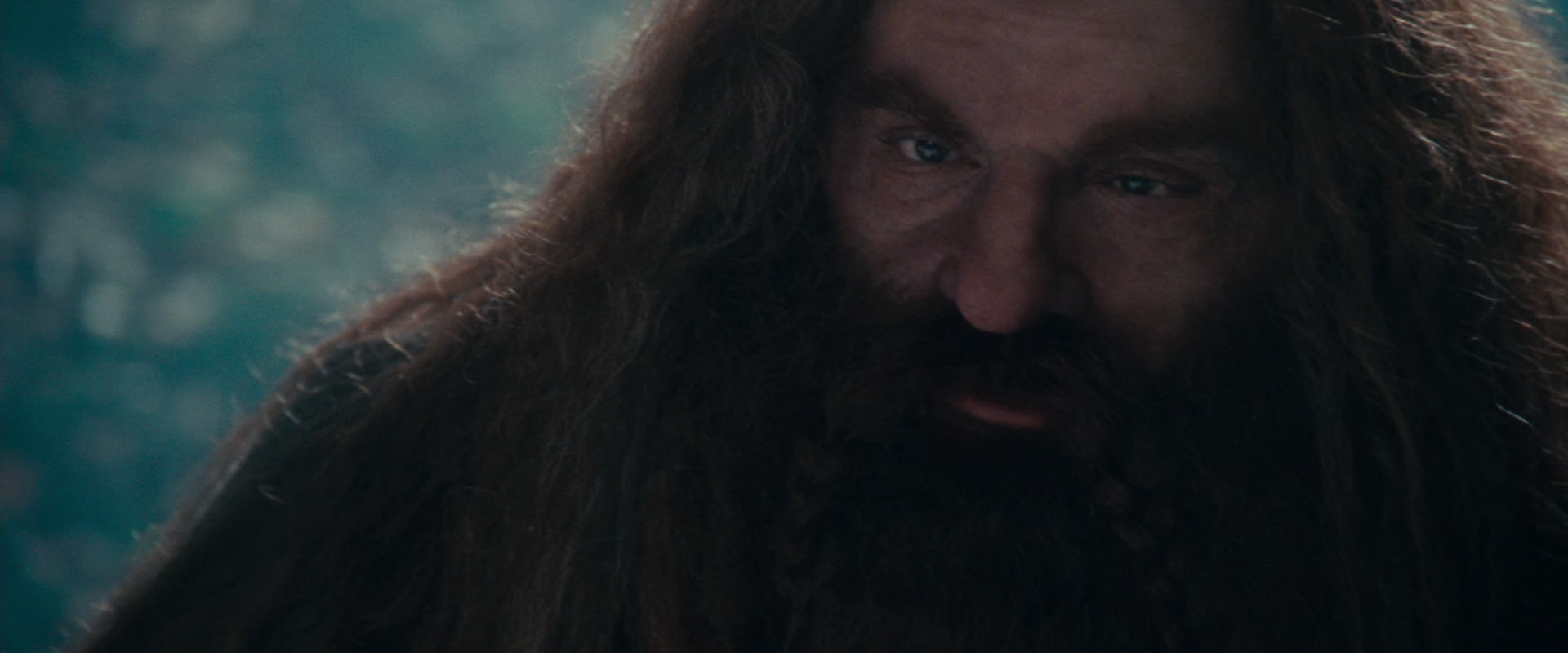 The Lord of the Rings: The Fellowship of the Ring (2001) HD screenshot 20171