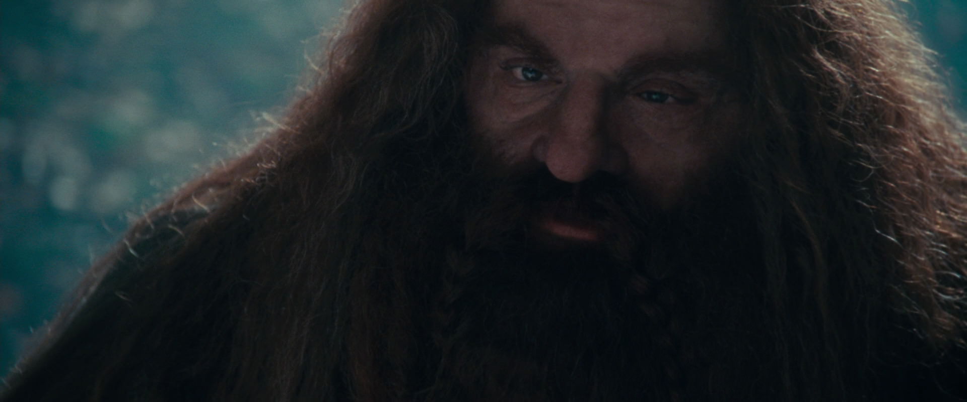 The Lord of the Rings: The Fellowship of the Ring (2001) screencap 20172