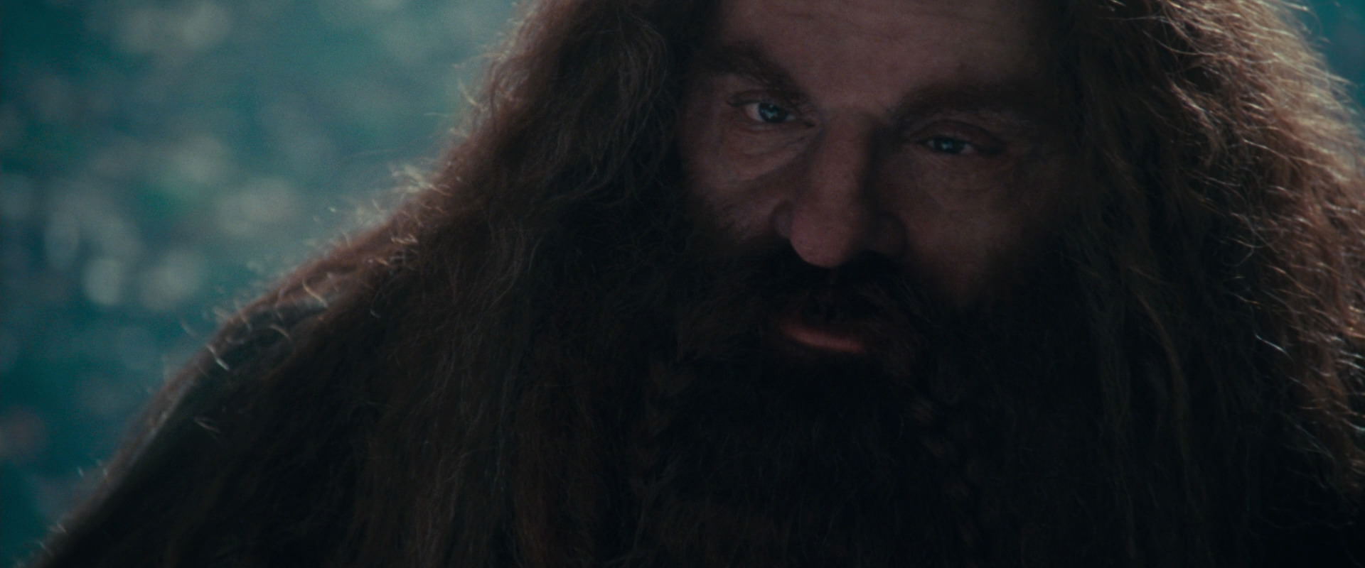 The Lord of the Rings: The Fellowship of the Ring (2001) movie still 20173