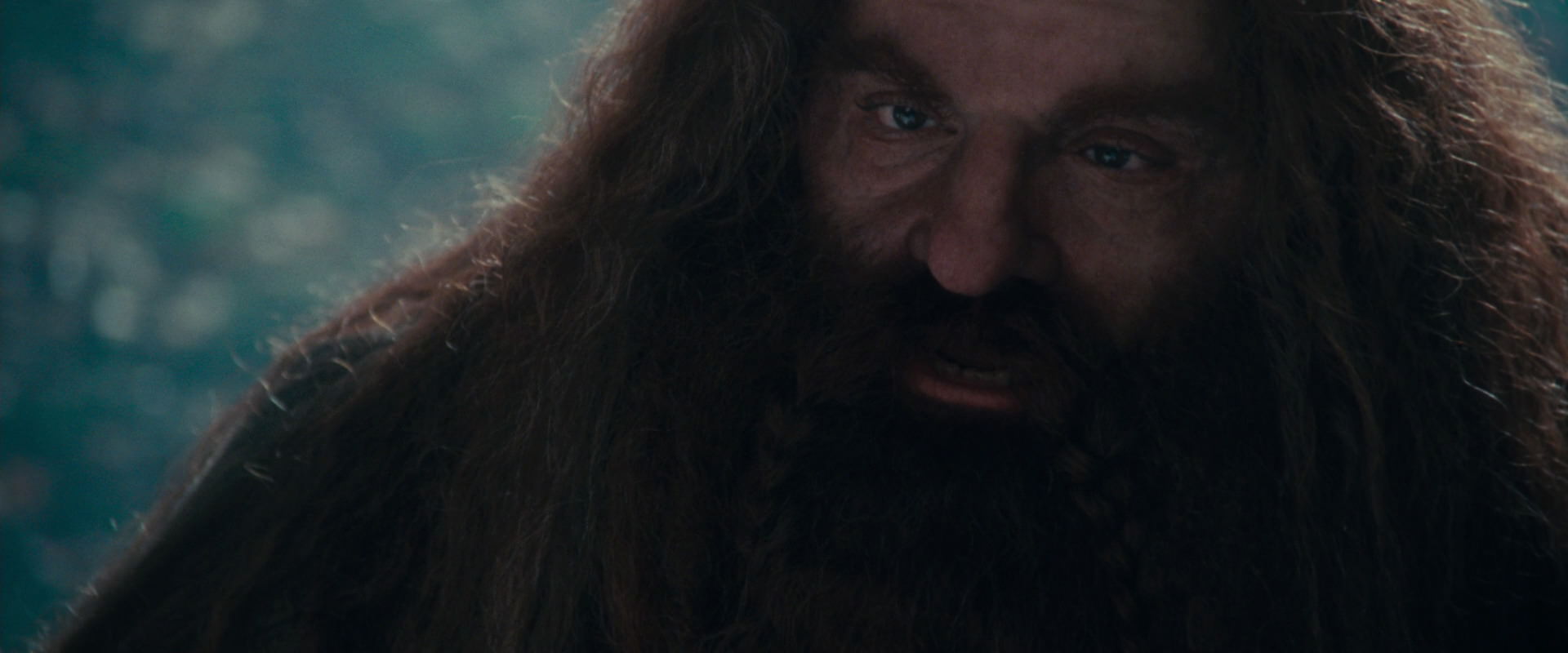 The Lord of the Rings: The Fellowship of the Ring (2001) HD screenshot 20174