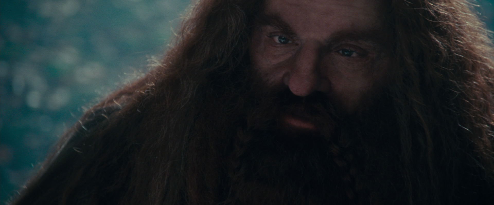The Lord of the Rings: The Fellowship of the Ring (2001) screencap 20175