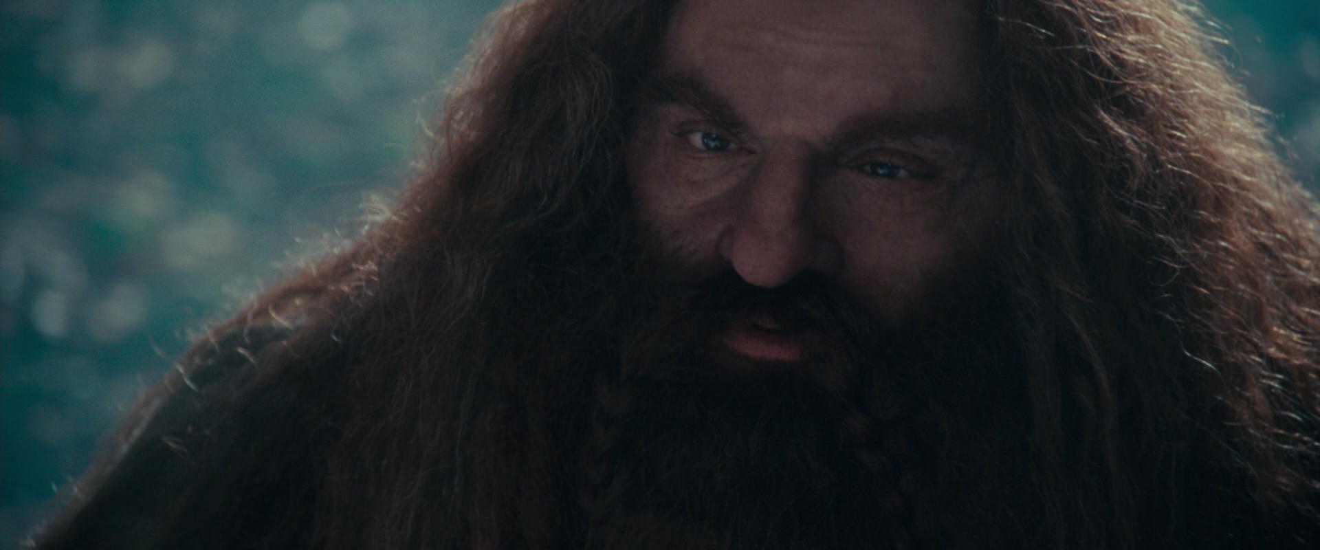 The Lord of the Rings: The Fellowship of the Ring (2001) movie still 20182