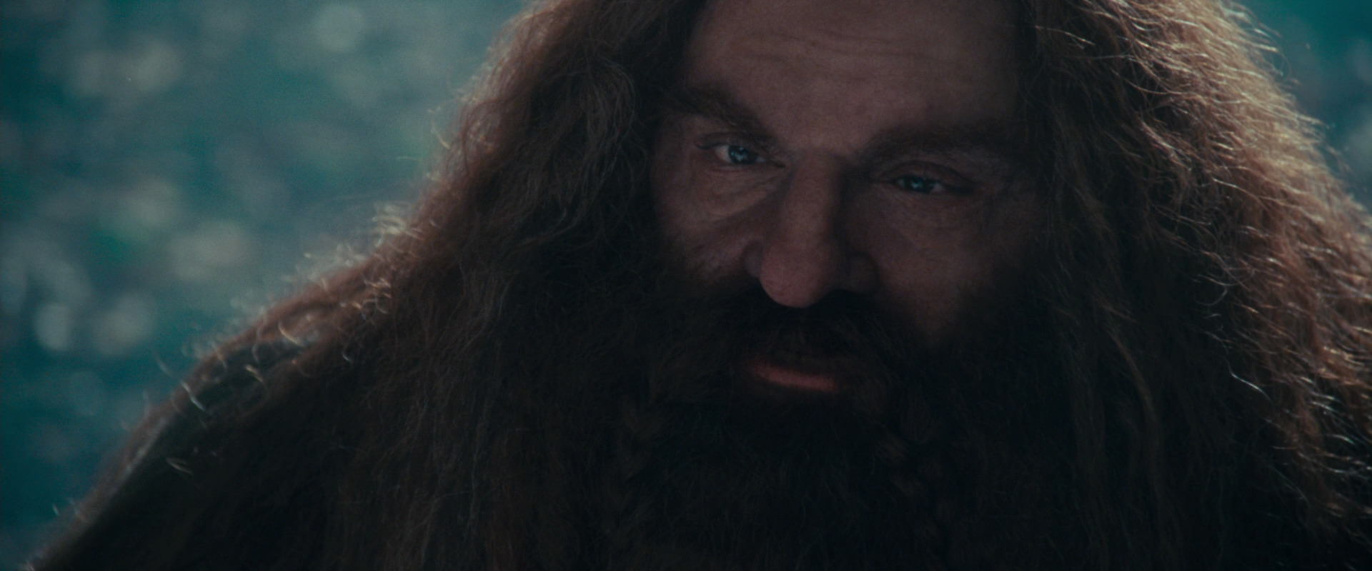 The Lord of the Rings: The Fellowship of the Ring (2001) HD screenshot 20183