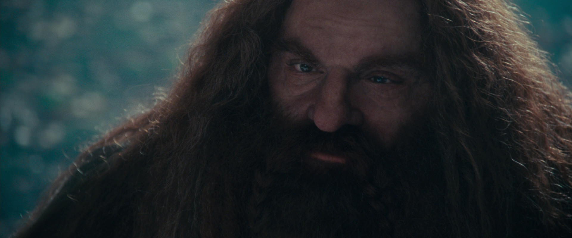 The Lord of the Rings: The Fellowship of the Ring (2001) screencap 20184
