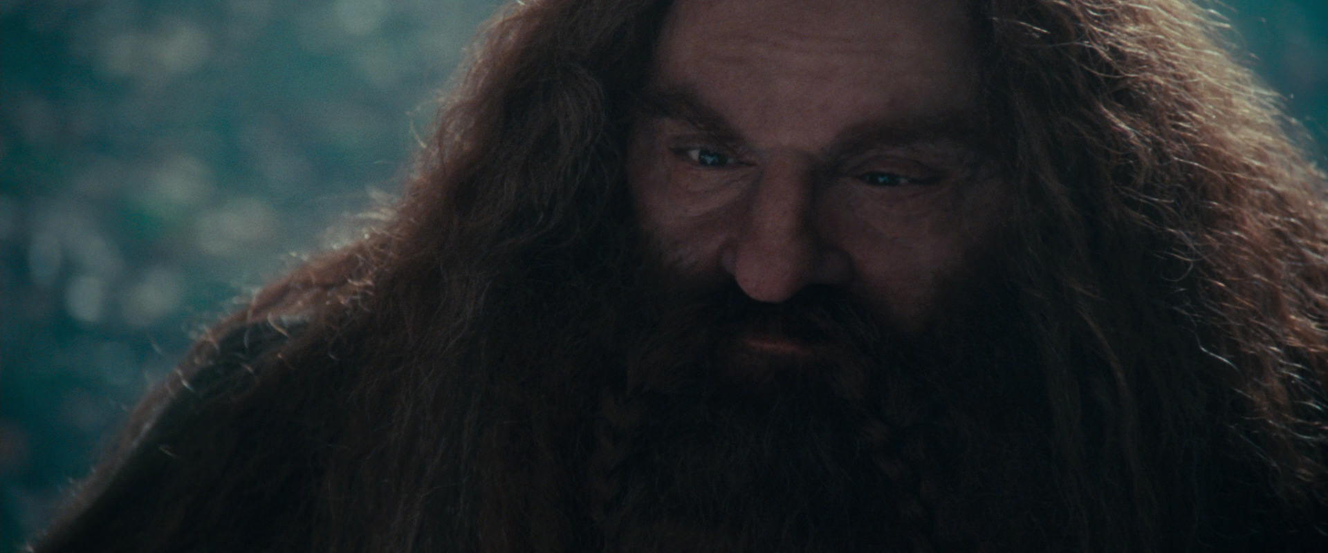 The Lord of the Rings: The Fellowship of the Ring (2001) movie still 20188