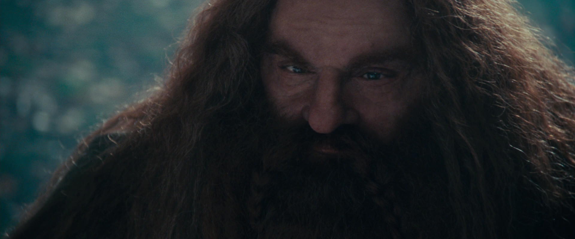 The Lord of the Rings: The Fellowship of the Ring (2001) HD screenshot 20189