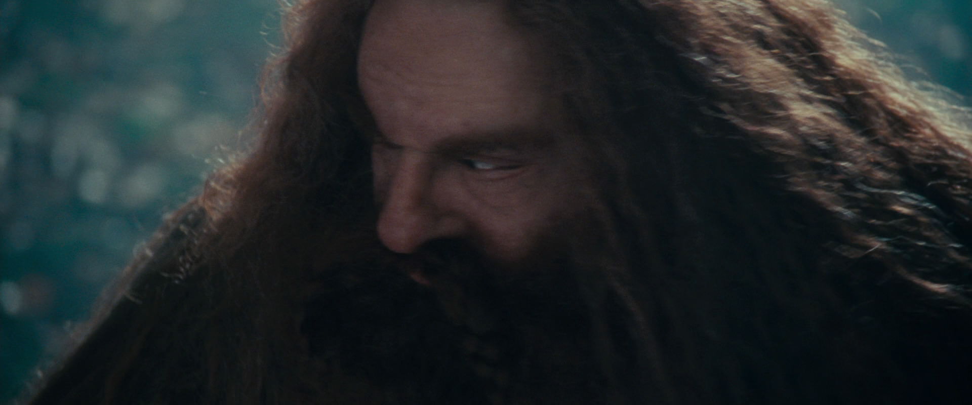 The Lord of the Rings: The Fellowship of the Ring (2001) screencap 20190
