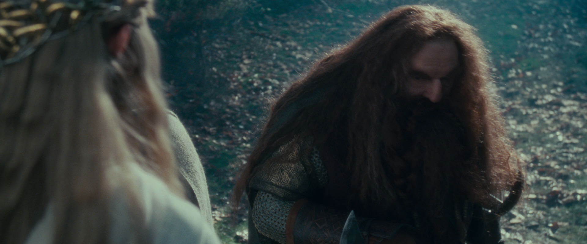 The Lord of the Rings: The Fellowship of the Ring (2001) screencap 20199