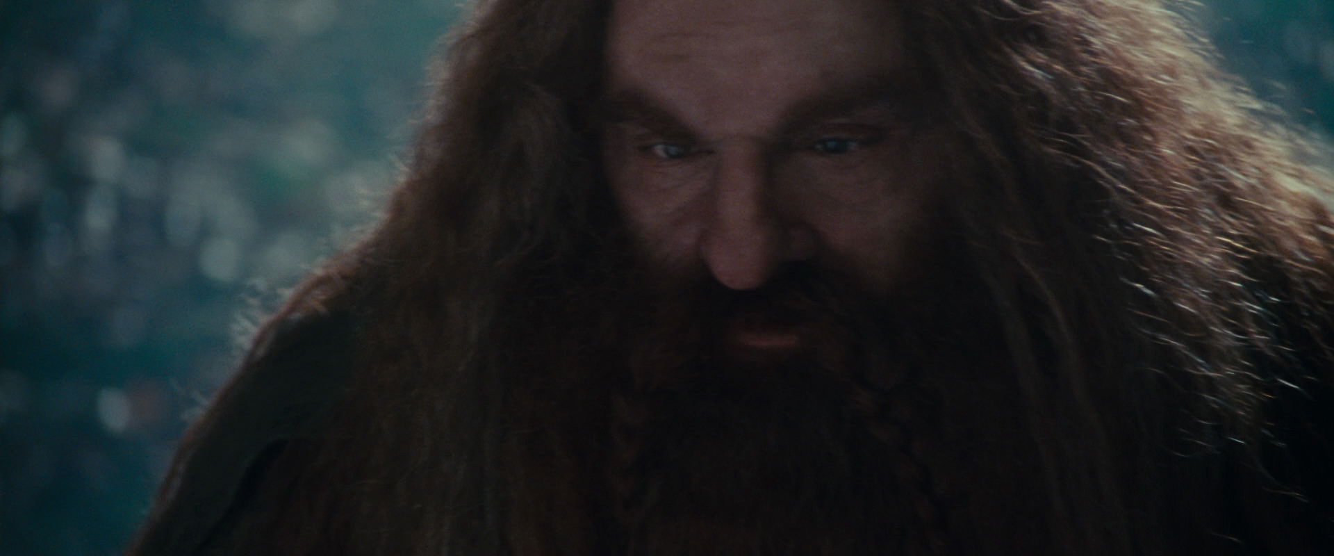 The Lord of the Rings: The Fellowship of the Ring (2001) screencap 20205