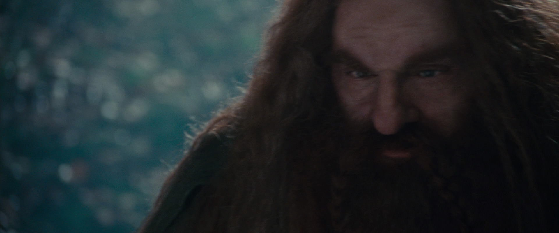 The Lord of the Rings: The Fellowship of the Ring (2001) movie still 20206