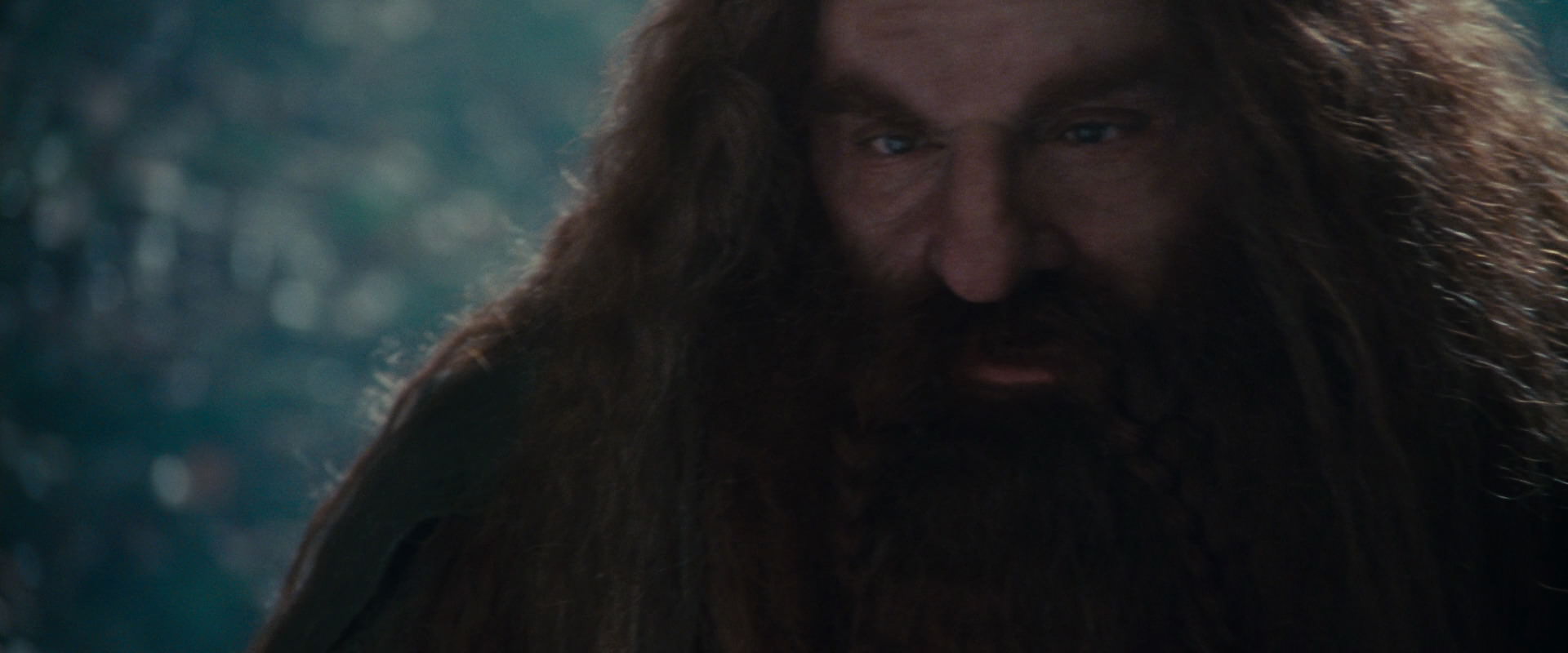 The Lord of the Rings: The Fellowship of the Ring (2001) HD screenshot 20207
