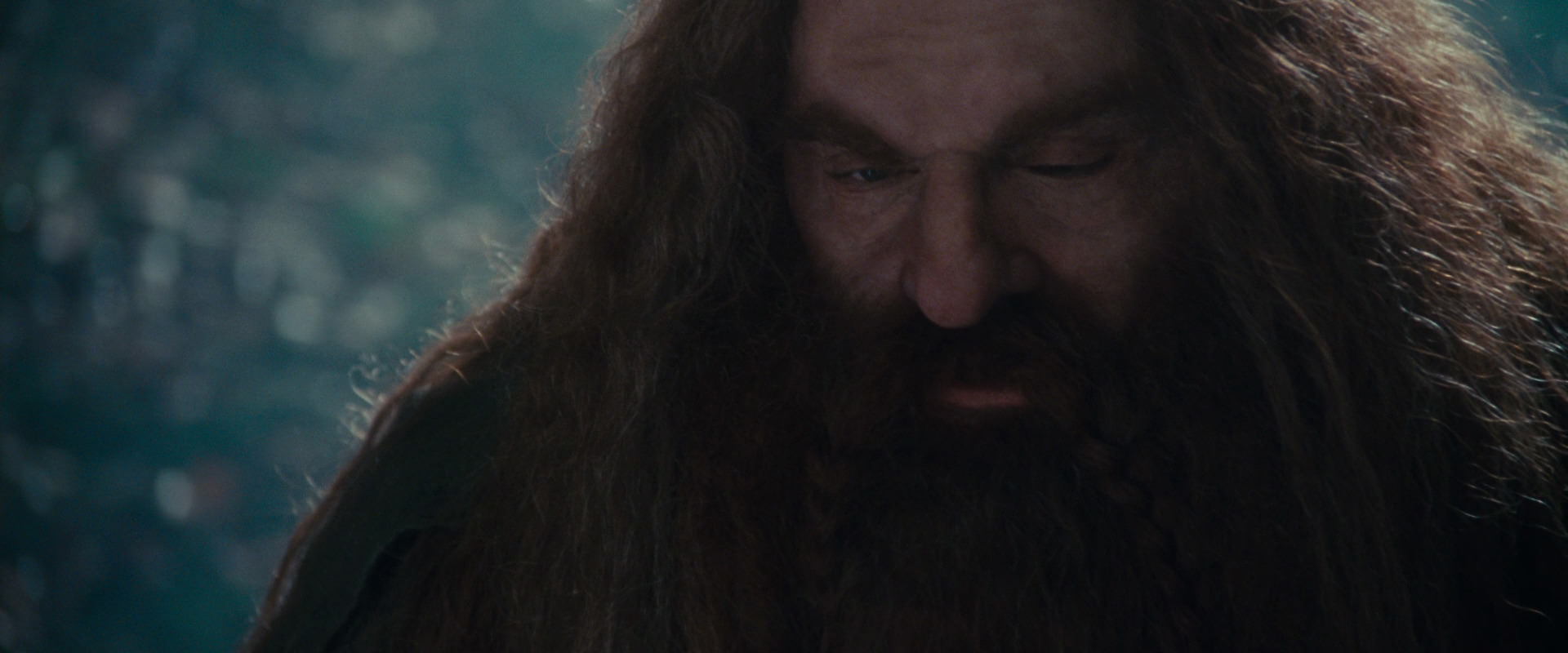 The Lord of the Rings: The Fellowship of the Ring (2001) screencap 20208