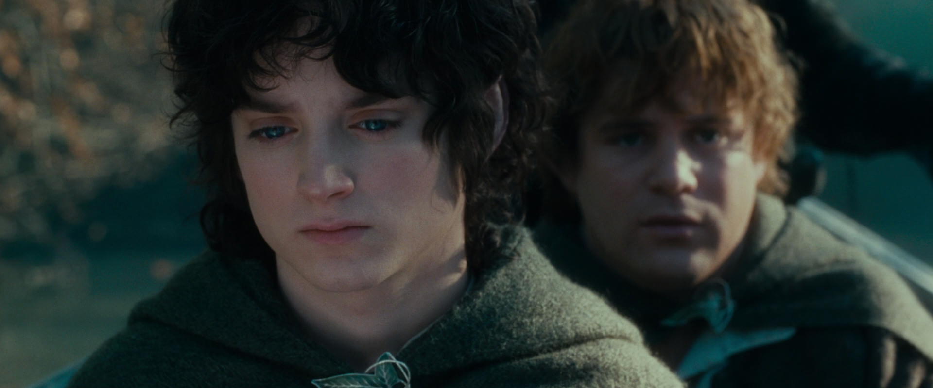 The Lord of the Rings: The Fellowship of the Ring (2001) movie still 20377