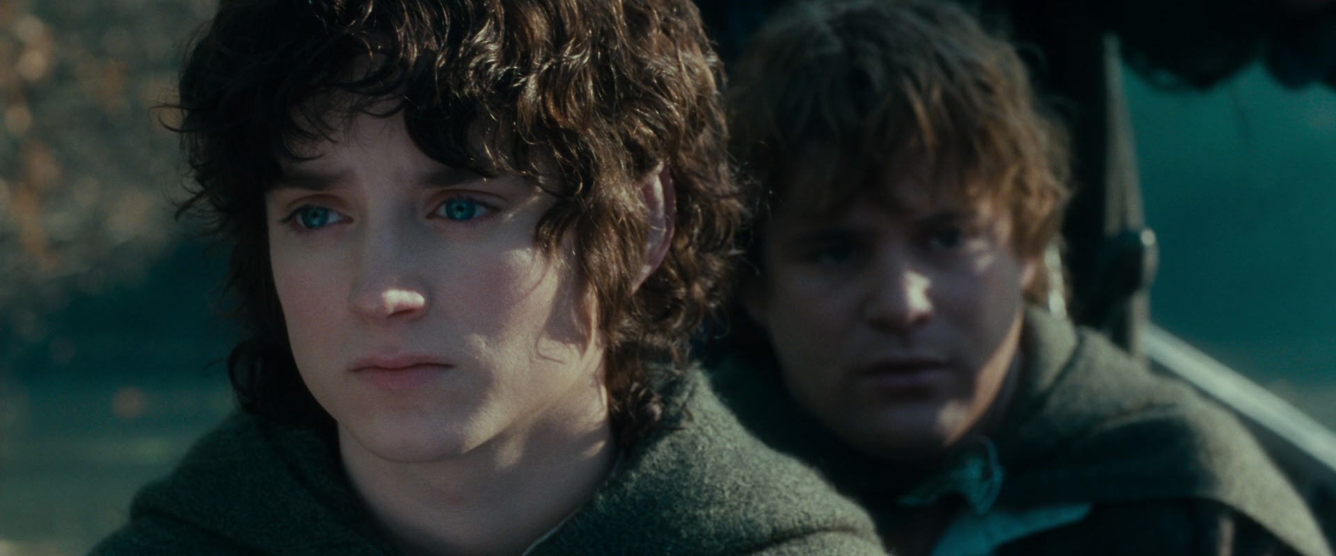 The Lord of the Rings: The Fellowship of the Ring (2001) screencap 20382
