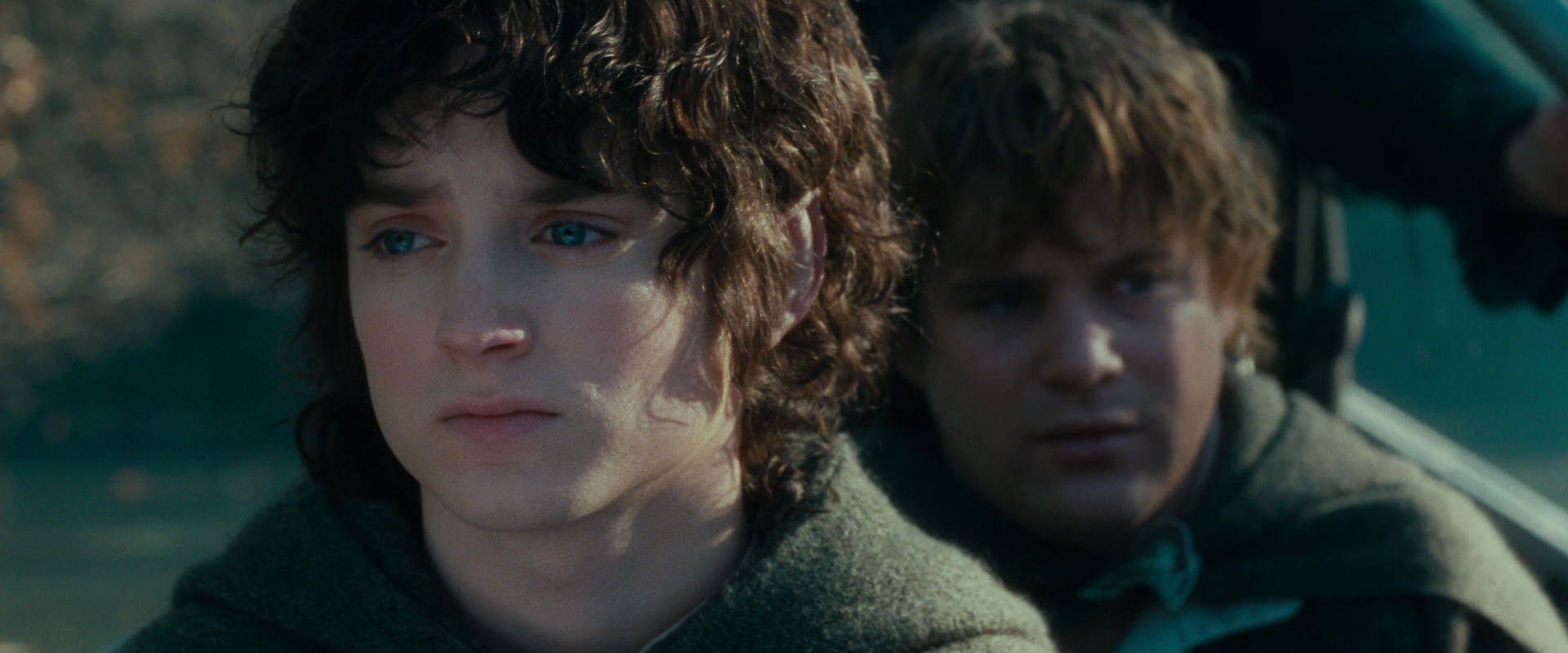 The Lord of the Rings: The Fellowship of the Ring (2001) movie still 20383