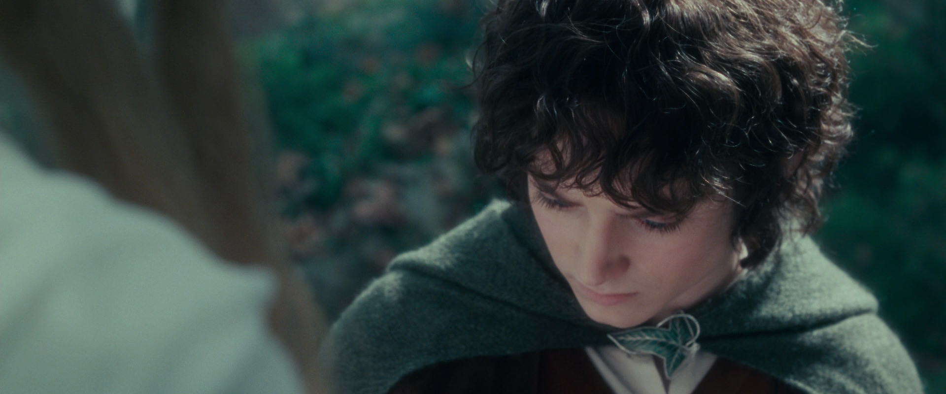 The Lord of the Rings: The Fellowship of the Ring (2001) screencap 20394