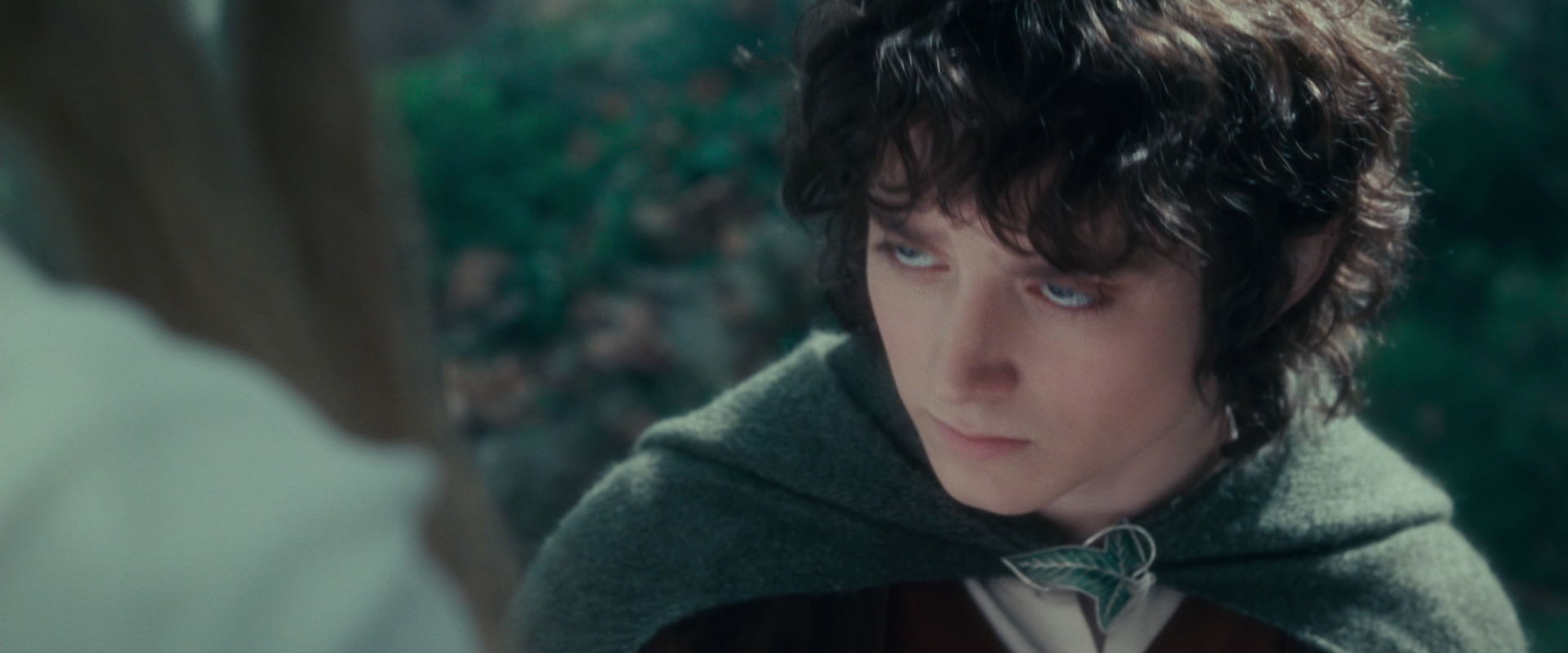 The Lord of the Rings: The Fellowship of the Ring (2001) movie still 20395